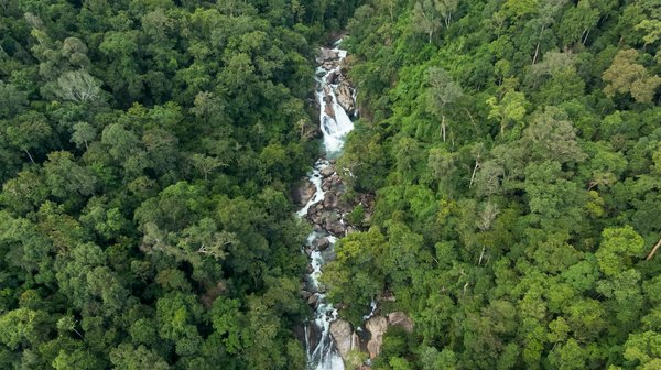 Restaurer vous-même vos trouvailles de brocante